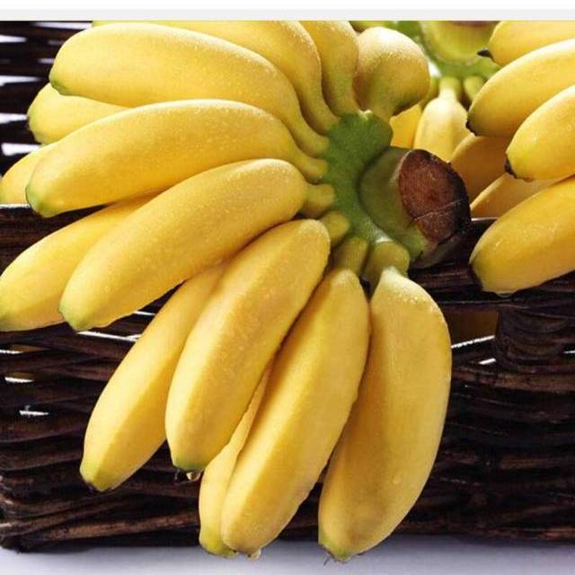 > 泰国皇帝蕉12kg(洪九)商品评价 > 救济救济龙流摸摸你