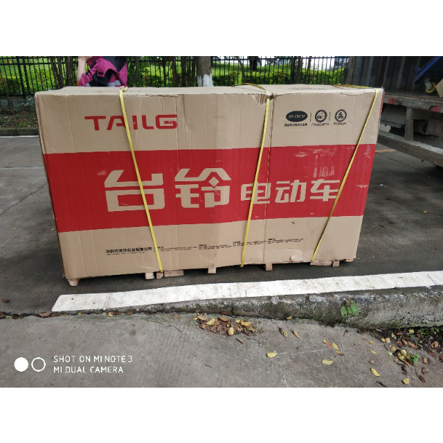 台铃新款gm6电动车两轮成人代步车电动车 60v电瓶车电动电瓶车 红色