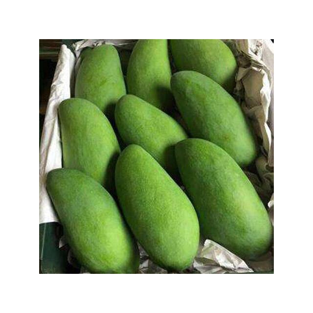 一雨花果越南青皮玉芒4斤单果约200400g新鲜芒果青皮芒果坏果包赔