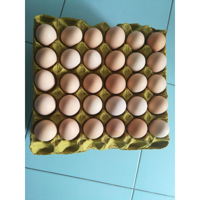 > 二农夫 整件 土鸡蛋商品评价 > 鸡蛋新鲜,是土鸡蛋