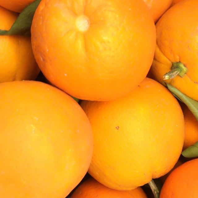 带叶橙商品评价您没有填写评价内容