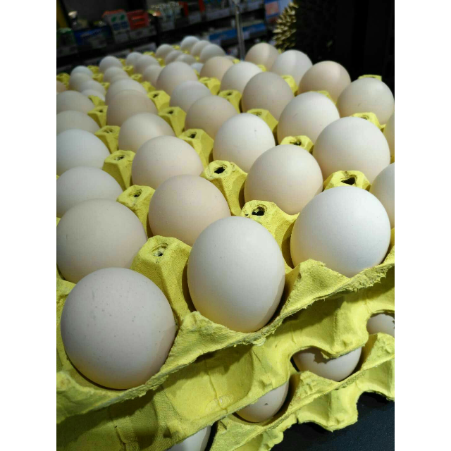 > 土鸡蛋一托30个商品评价 > 苏宁小店东西很多,买.