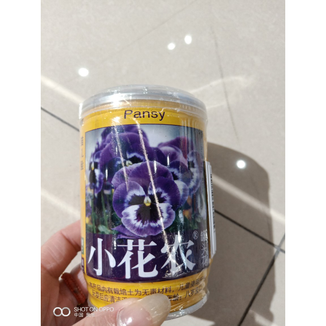 > 小花农罐头花商品评价 > 喜欢