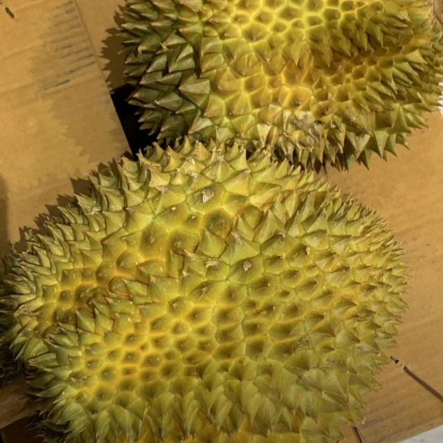 ɢ