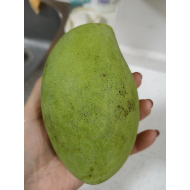 > 【一雨花果】越南青皮玉芒4斤(单果约200-400g) 新鲜芒果 青皮芒果