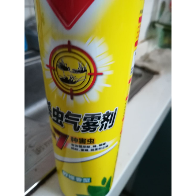 全无敌 杀虫气雾剂 柠檬香型 600ml 灭蟑 杀蟑 杀飞虫 灭虫剂 除虫剂