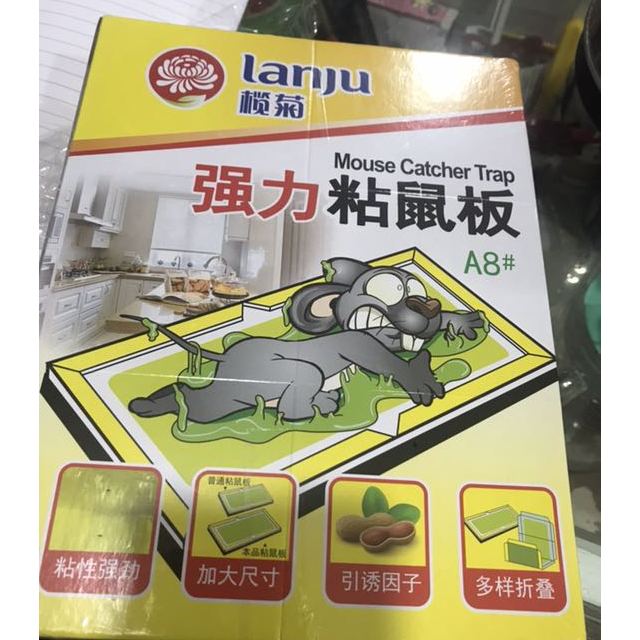 榄菊 粘鼠板老鼠贴 灭鼠板捕鼠器 5板装 加厚款 老鼠夹物理捕捉吱吱板