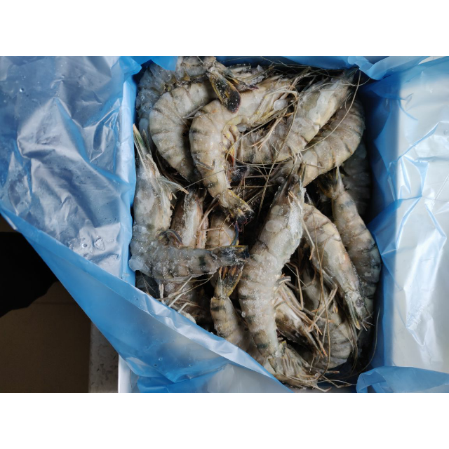 > 獐子岛 马来西亚 活冻黑虎虾 800g(24-32只)盒装 海鲜水产商品评价