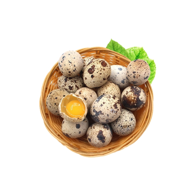 新鲜生鹌鹑蛋25枚正宗农家散养宝宝辅食孕妇营养非鸡蛋鹅蛋鸽子蛋鸭蛋