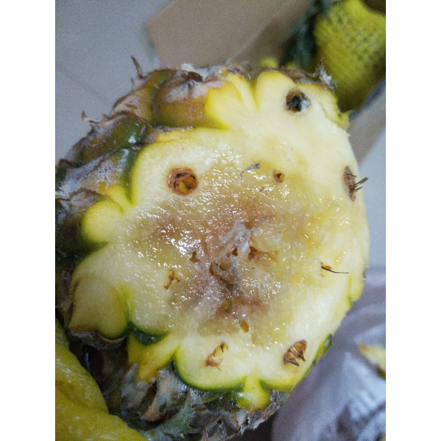 芮瑞香水菠萝非凤梨新鲜水果9斤