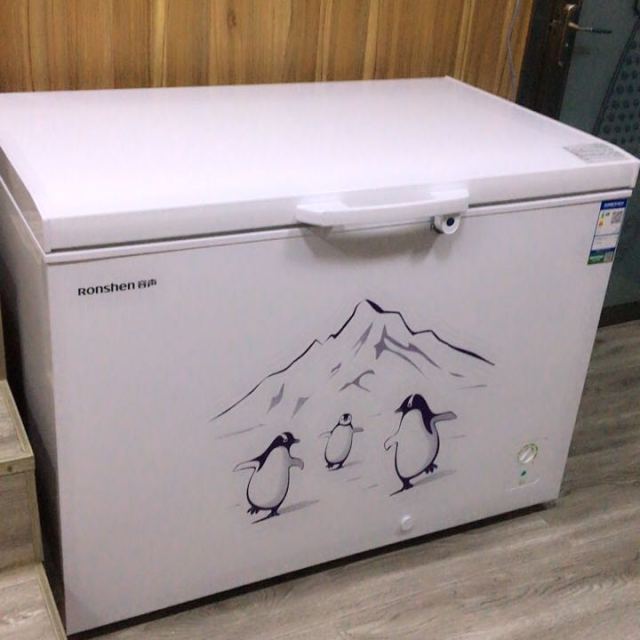 容声ronshenbdbc309md309升商用冰柜冷柜卧式大冷冻柜冷藏冷冻转换