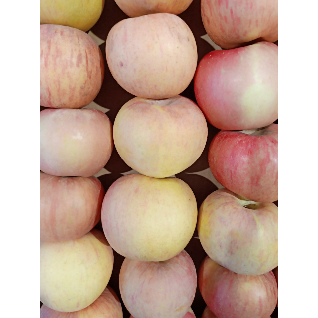 > 山东80苹果(二农夫)散秤商品评价 > 嘎嘣脆,好吃