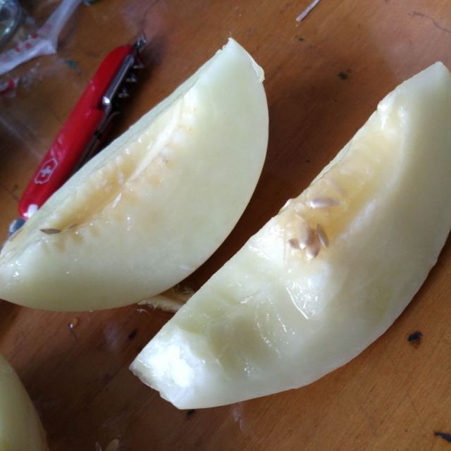 > 甄好吃 陕西阎良甜瓜5斤装 单果约400g 新鲜水果商品评价 > 这个瓜