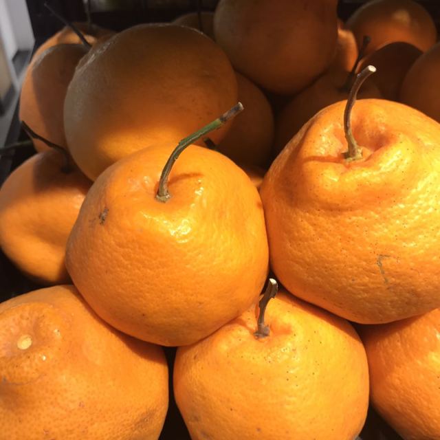 > 耙耙柑(来发缘)散称商品评价 > 好