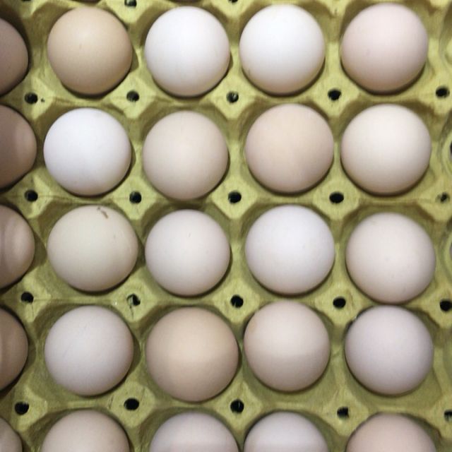 > 土鸡蛋一托30个商品评价 > 您没有填写评价内容