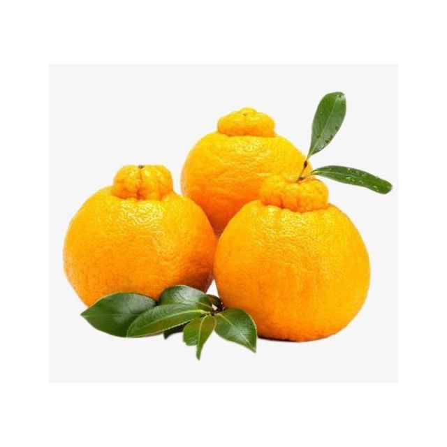 5kg装 新鲜水果商品评价 > 很喜欢吃丑橘,但是市.