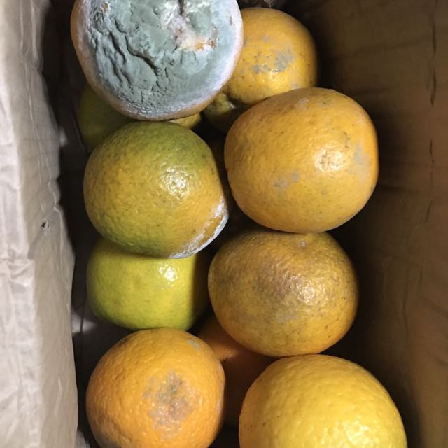 新鲜橙子当季水果非脐橙手剥冰糖果冻赣洲脐橙商品评价 