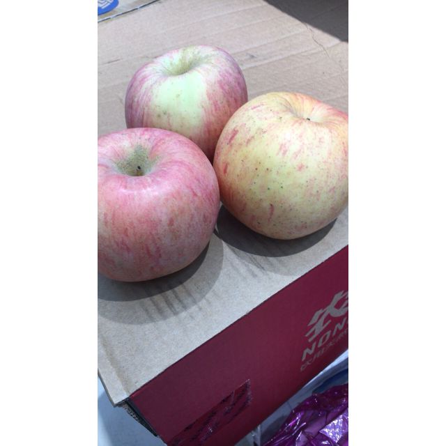 陕西红富士-苏昊-散称苹果类您没有填写评价内容-苏宁易购