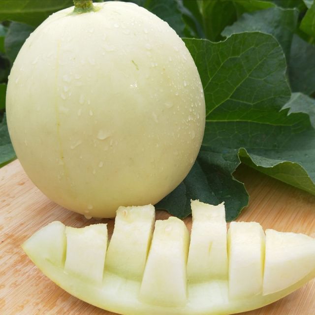 > 现摘阎良甜瓜头茬瓜2.