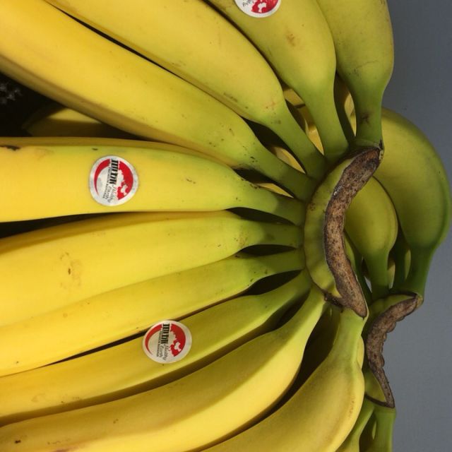 进口香蕉来发缘