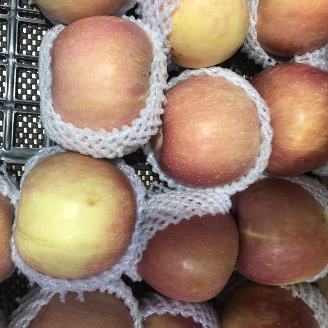 > 90苹果(来发缘)商品评价 > 物美价廉