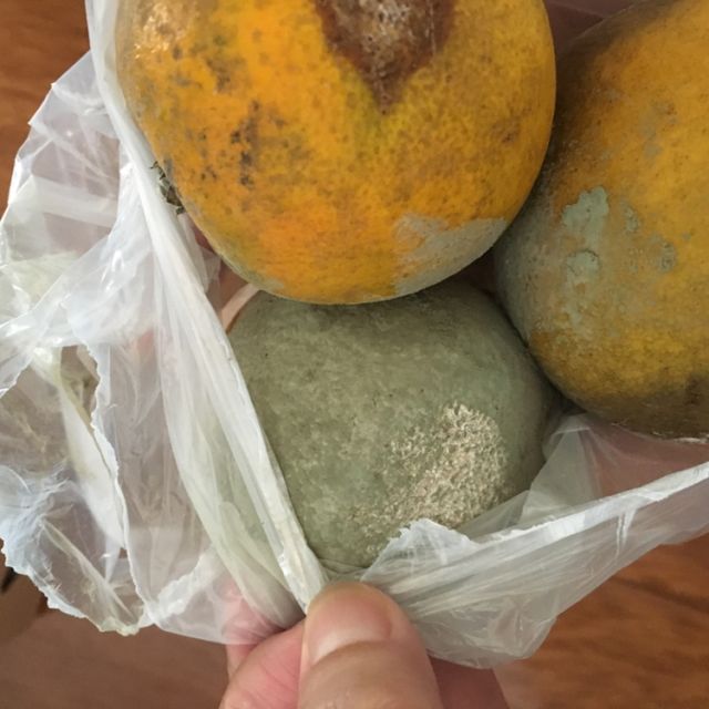 > (新品仅亏一天)桂林夏橙带箱10斤商品评价 > 特别容易坏,而且还算.