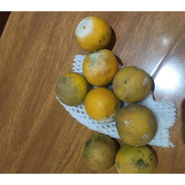 > (新品仅亏一天)桂林夏橙带箱10斤商品评价 > 特别容易坏,而且还算.
