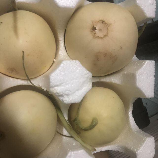 陕西阎良甜瓜5斤白黄肉随机发货甘甜绵密鲜甜多汁