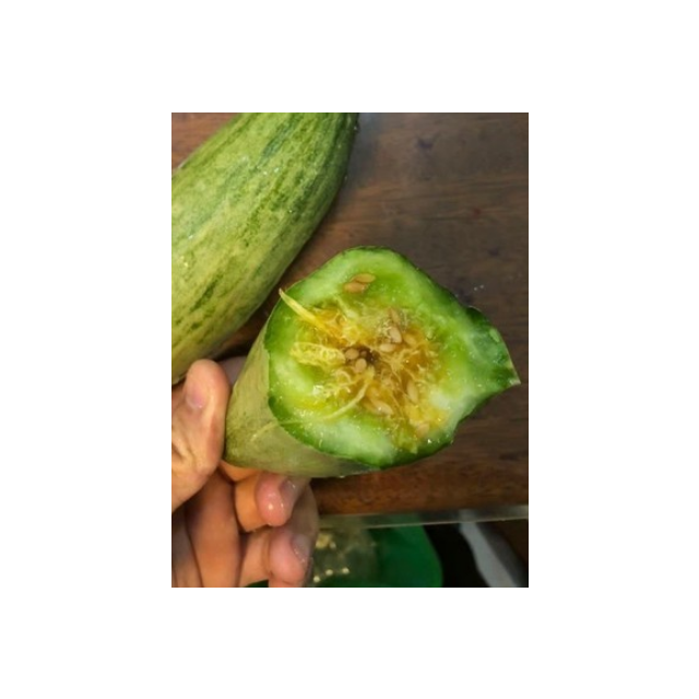 顺丰配送山东羊角蜜甜瓜5斤新鲜水果蜜瓜