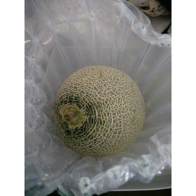 嘉琪山东海阳网纹瓜2个装约455斤新鲜甜瓜