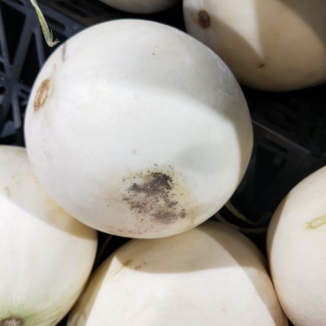 > 玉菇瓜(散称)新商品评价 > 下次再来