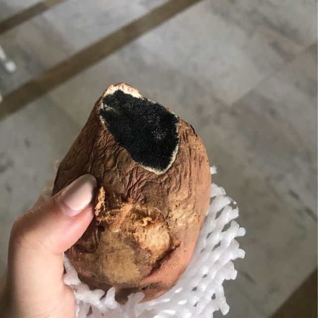 > 烟薯25烤地瓜山东地瓜蜜薯红薯新鲜农家自种沙地红心糖心2.