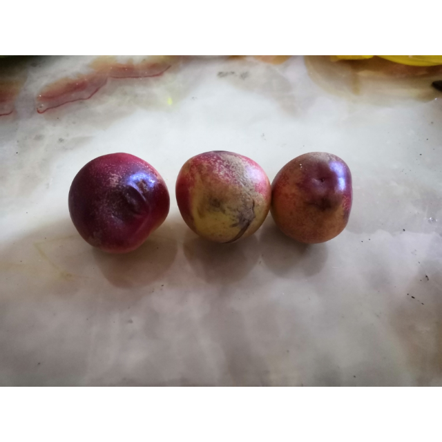 现摘红油桃5斤装单果约60g-100g黄心白心油桃软桃脆桃香甜新鲜孕妇