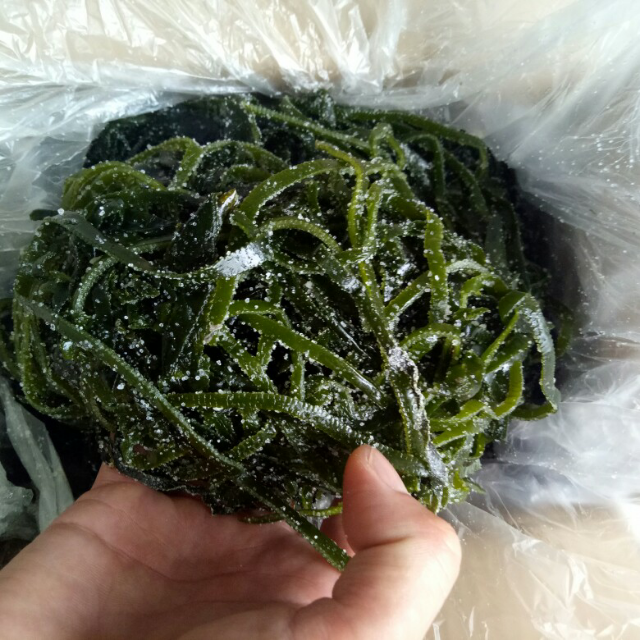 > 荣成盐渍海带丝 厚丝5斤家庭装绿色健康渔民自销商品评价 > 好好好