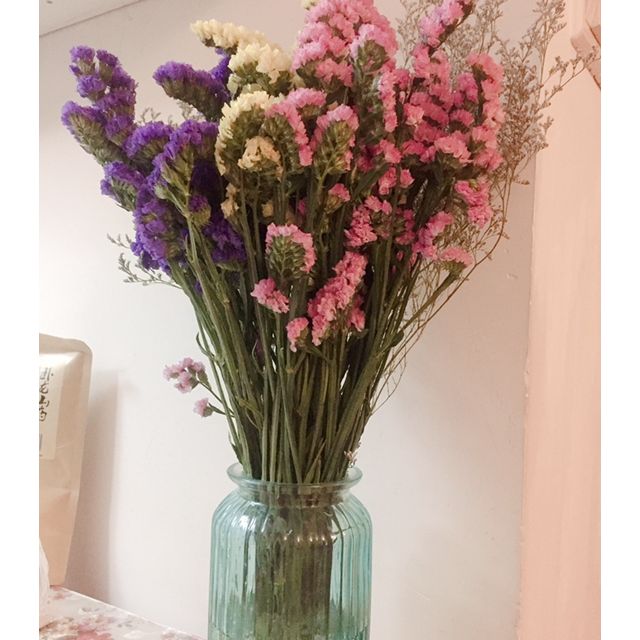 15支情人草混搭云南混色勿忘我搭配情人草干花