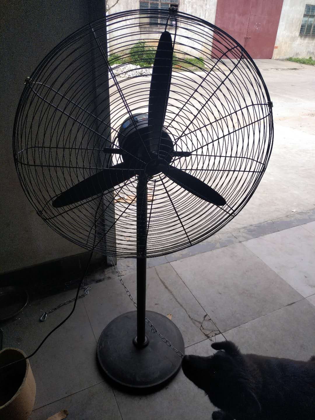 工业落地电风扇电机