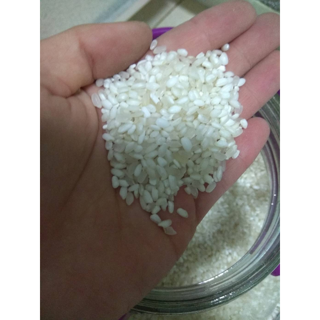 东北大米长粒白香米5kg米香口感软糯鲜米现磨粳米非真空包装【新老