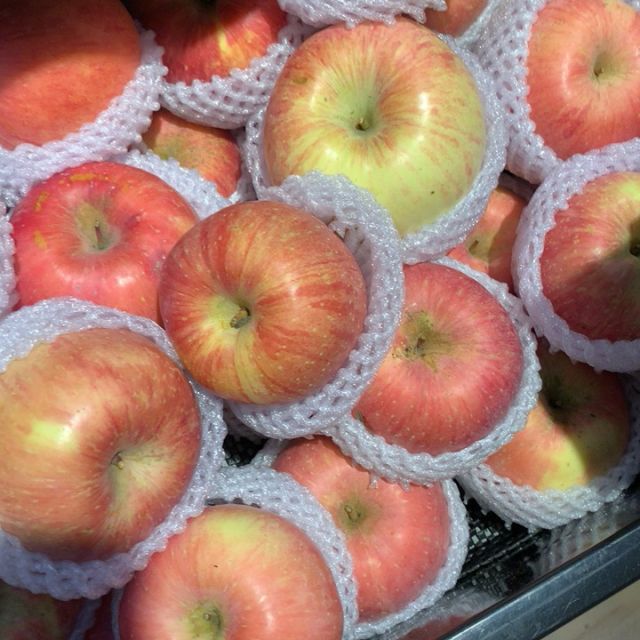 90苹果(来发缘)高清大图|实物图