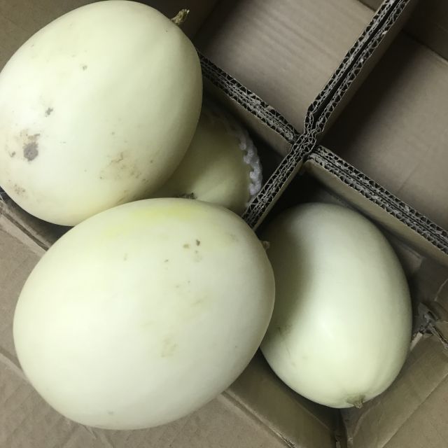 > 【中华特色】 大荔馆 陕西 零点先到家白皮甜瓜水果瓜5斤(4-6个装)