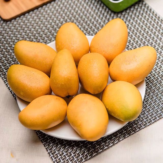 小台芒来发缘散称