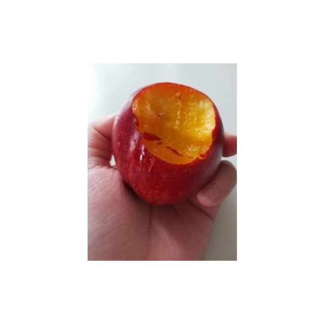 5斤当季水果桃子【拍2发3斤】 迷你黄肉油桃1.