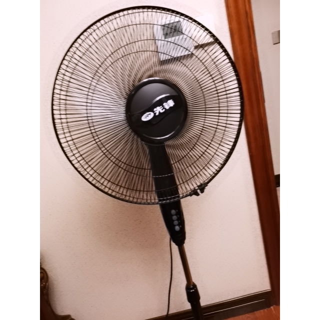 先锋(singfun)电风扇落地扇家用静音节能5叶大风力摇头风扇 dld-d1