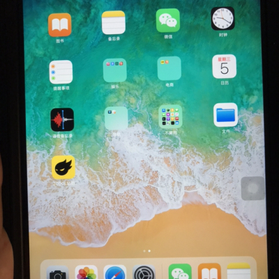 2019款 Apple iPad mini5 7.9英寸 平板电脑（64GB WLAN版 MUQW2CH/A 深空灰色）晒单图