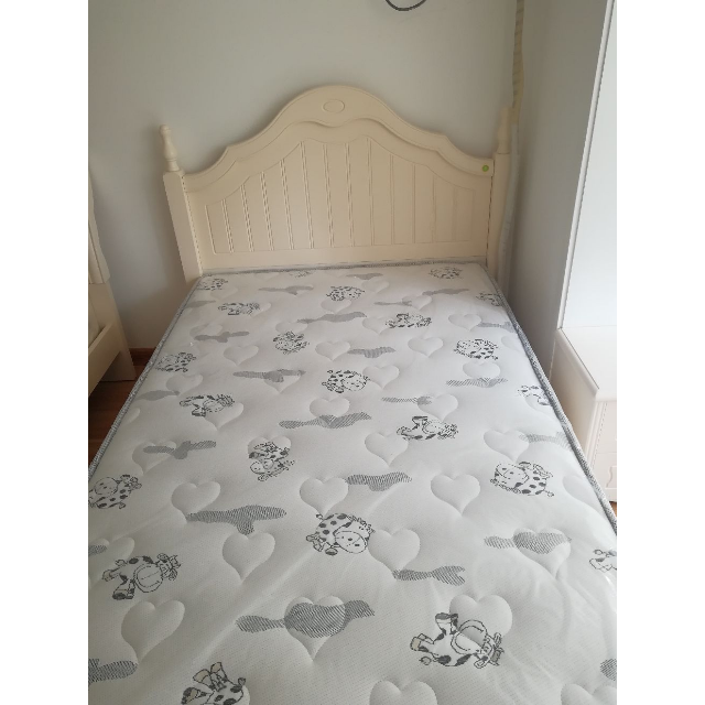 > 121106床 1.2m床 13008床垫商品评价 > 本次网购很成功