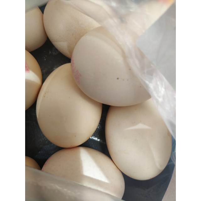 > 正大dah鸡蛋12枚商品评价 > 大品牌的鸡蛋是要比其.