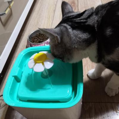 猫森林智能饮水机猫咪自动循环喝水器狗狗静音喷泉喂水器宠物用品晒单图