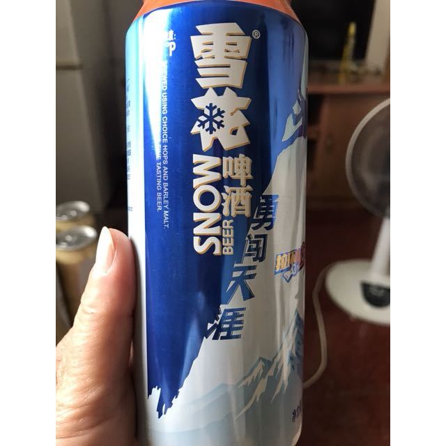 雪花啤酒snowbeer勇闯天涯500ml听装