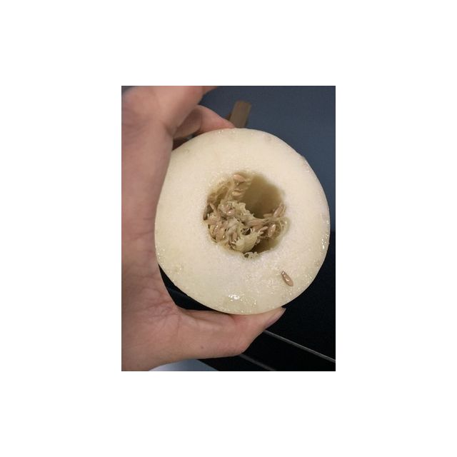 【靓果汇】陕西阎良甜瓜2.