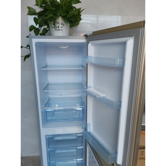 上菱(shangling) bcd-183d(金)183升双门冰箱小型家用 优质压缩机静音