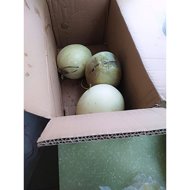 伍品汇 山东玉菇甜瓜新鲜水果现摘现发带箱2.5斤拍2件发带箱5斤净果4.